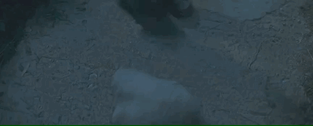 7次反转，“恋母”引发的命案，我是压着火看完