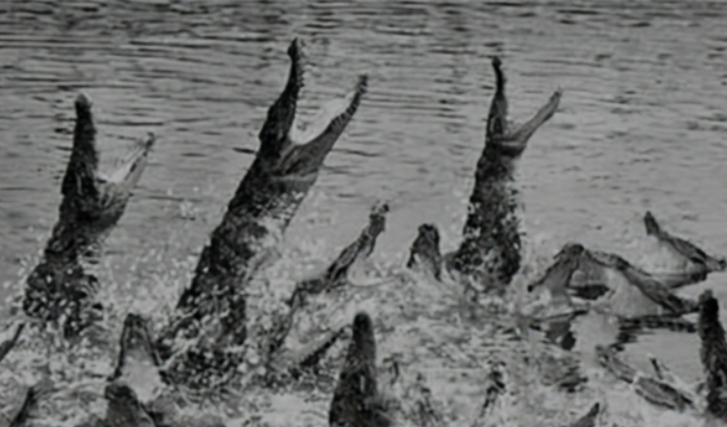 ��սʱ�ڣ�һҹ֮�䣬1000�����վ����񣬳���������������в�