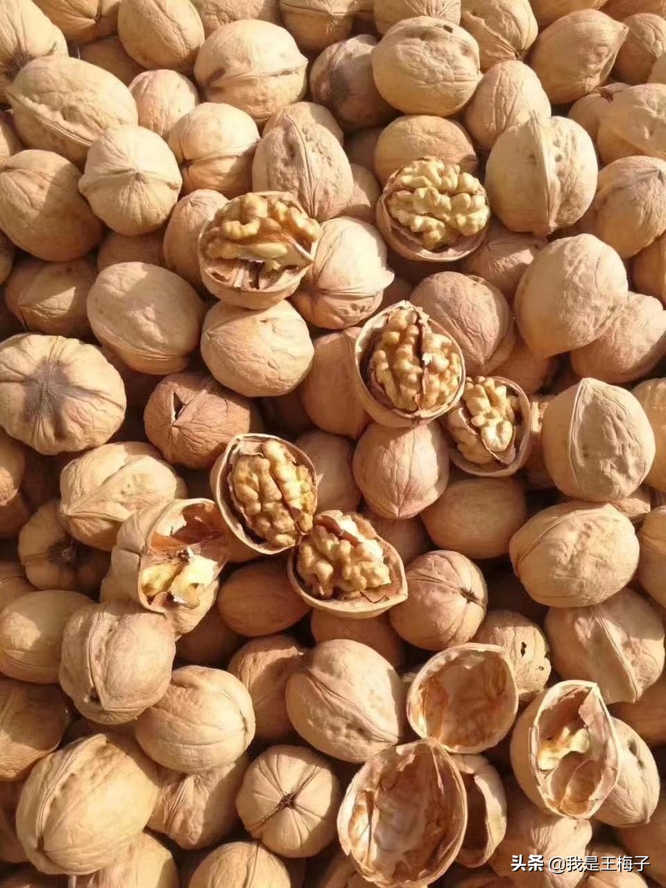 Where are the best walnuts in China?Please look for these 3 origins