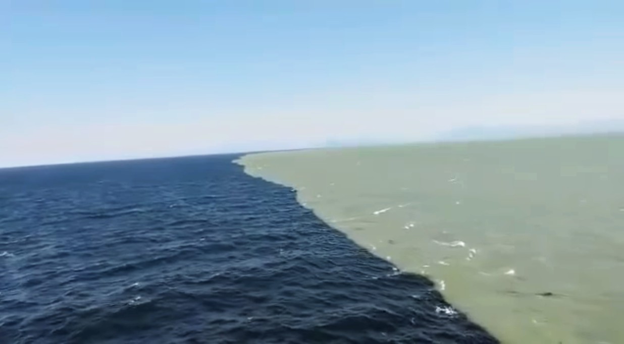 Can The Atlantic And Pacific Waters Really Merge? What Is This Dividing 