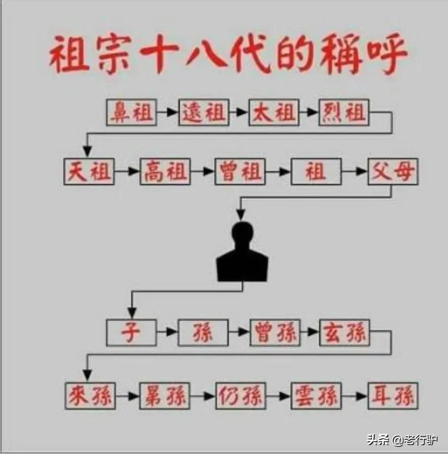 电视剧【大秦赋】嬴政与秦献公，秦孝公，嬴驷，嬴稷的辈分关系