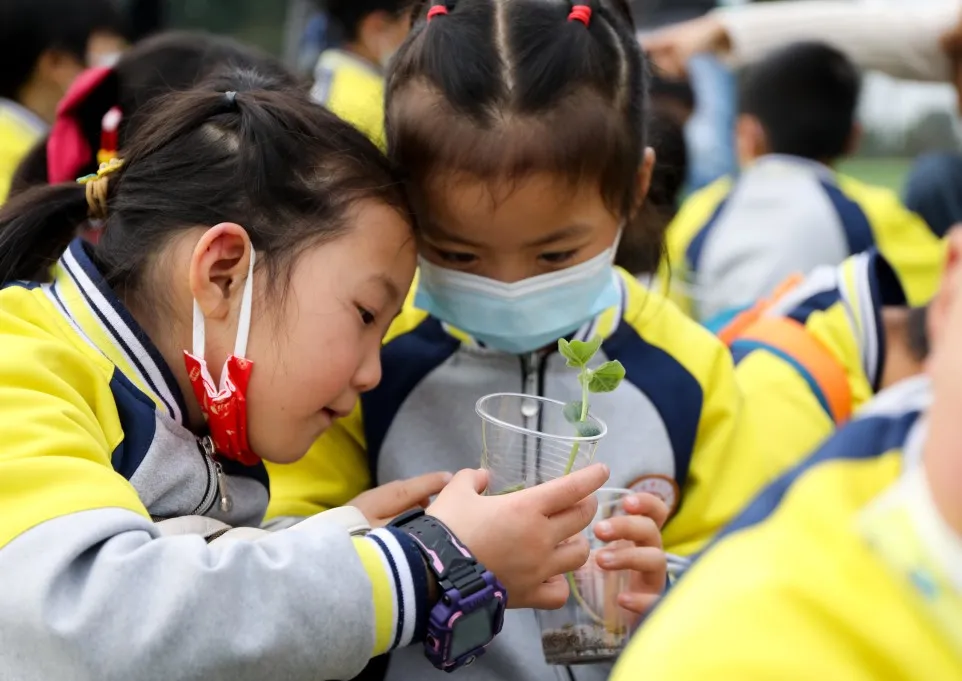 “我们”有一块地这就播种去丨天府新区元音小学劳动实践基地启动