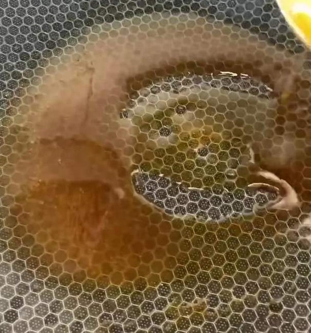 五花肉怎麼做好吃肥而不膩？ 加1步做法和多下1種配料便肥而不膩