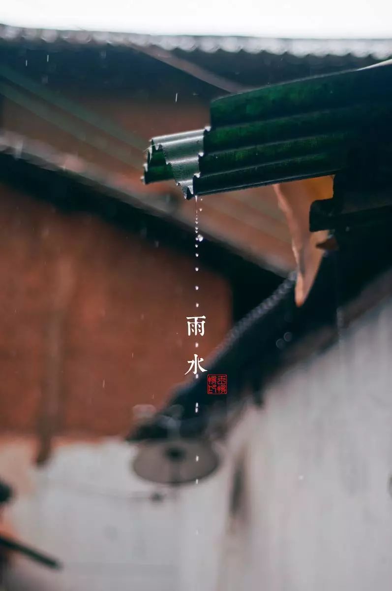 雨水｜好雨知时节，当春乃发生