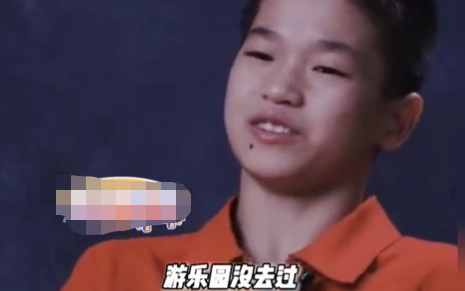 14岁全红婵破跳水记录夺金，3家公司来奖励，送房送商铺还送20万