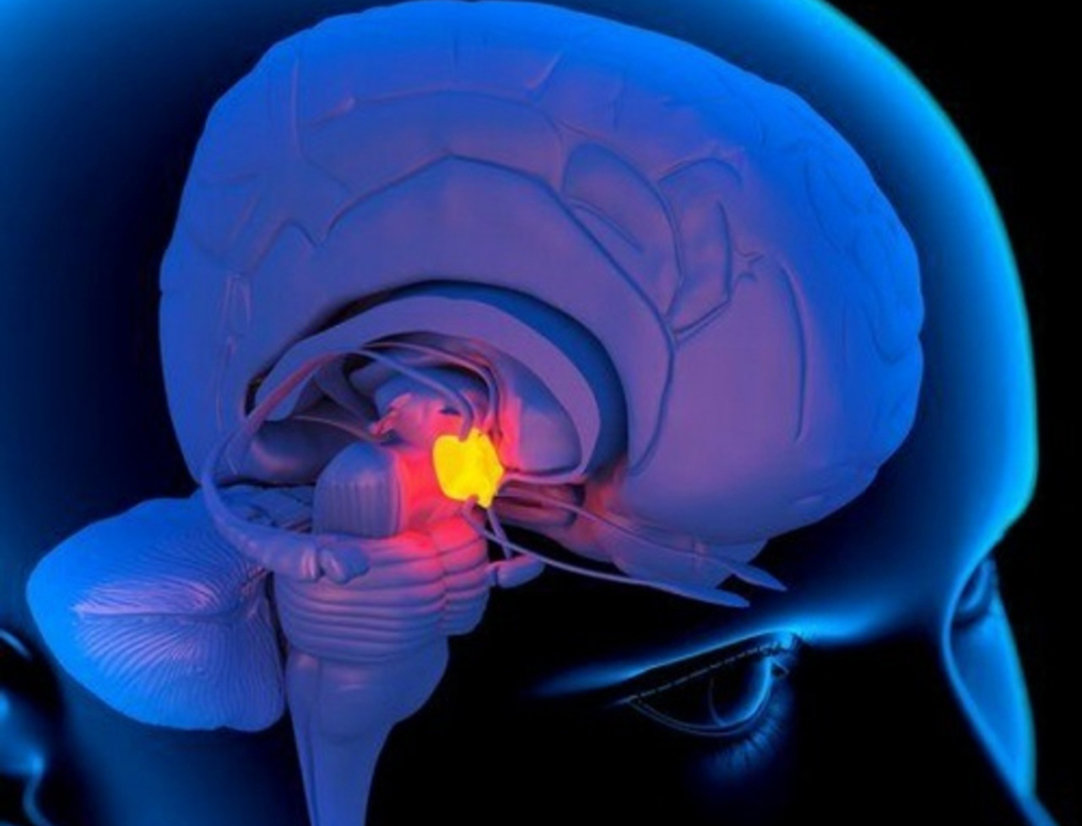 人類體溫37℃或成曆史：100年已降0.3℃，體溫降低會怎樣