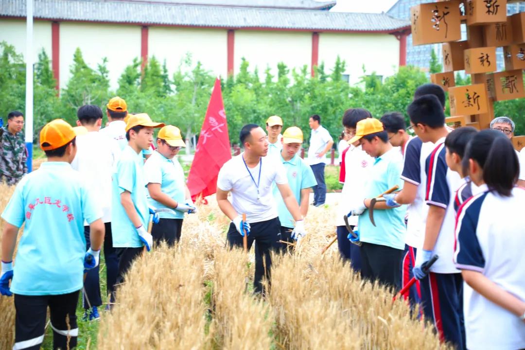 校园里竟然掀起麦浪！曲阜这两个学校真有心