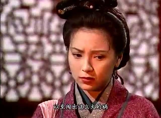 神雕后传：杨过去世，小龙女为杨过生下一子，指点武功为杨过报仇