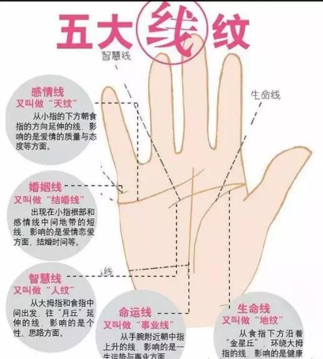 手相图解 手掌的 五大纹路 资讯咖