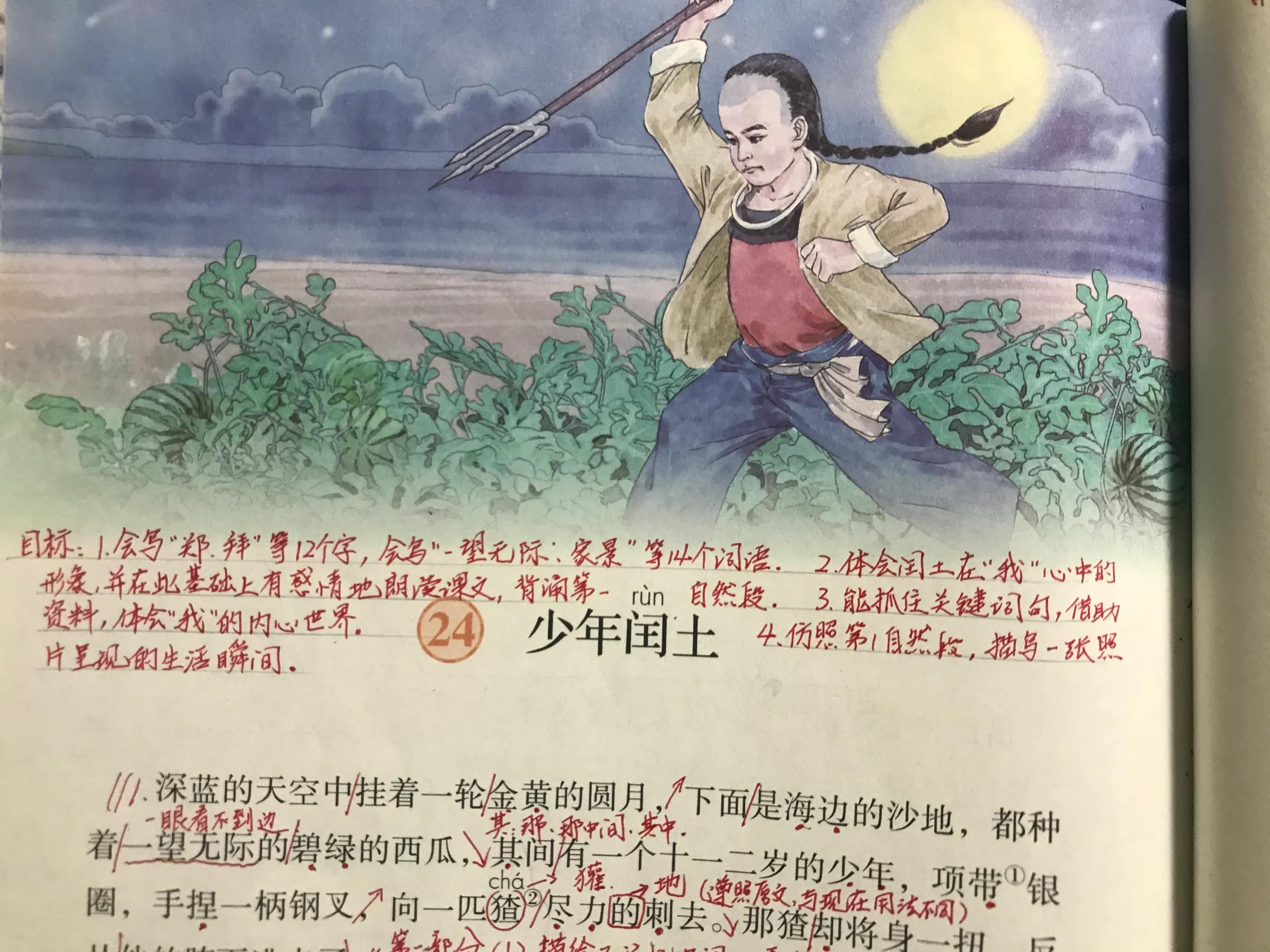 六年语文《少年闰土》，看资深教师讲解全文和课后题，知识点不少