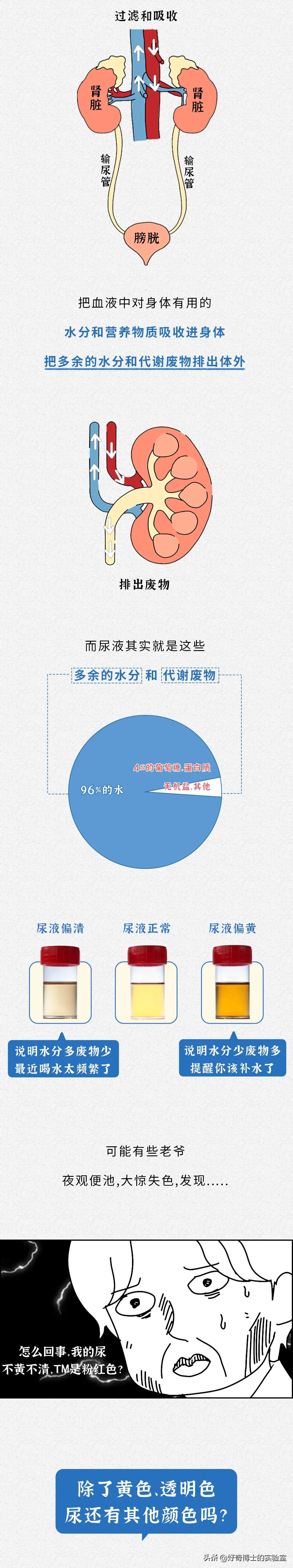 嚴肅又濕漉漉的星空体育官网入口网站又增加啦