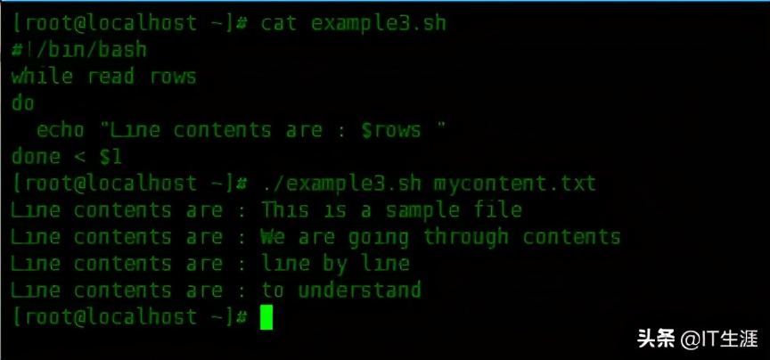如何在Shell脚本中逐行读取文件