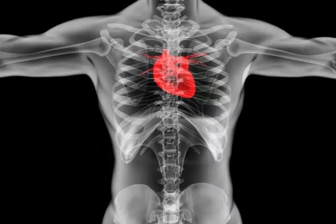 心臟不好，到底該運動還是靜養？ 日常護心，試試兩大�強心劑�