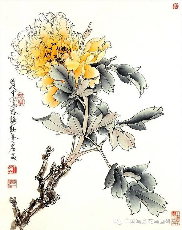 盘点历代名家笔下的那些牡丹（第五辑）