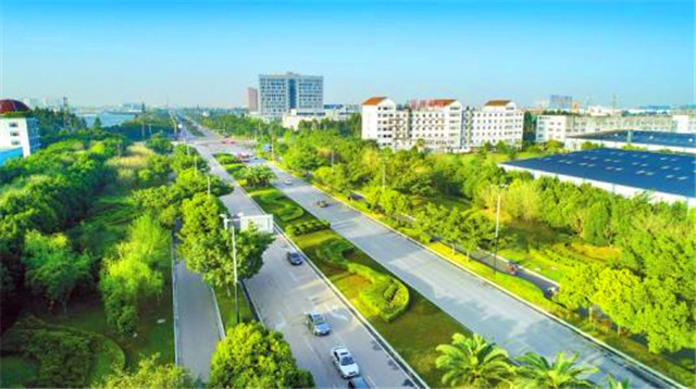 清华教授薛澜：过去累积的问题再不下决心解决，成本会更高