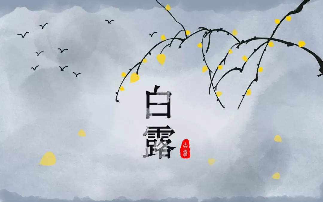白露|清风白露,愿你无恙-第4张图片-非凡网 白露|清风白露,愿你无恙-第4张图片-非凡网