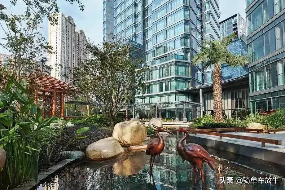 After disturbance of '' of acting pregnant of Zheng Shuang '' first degrees show a body, will after be being banned in the round, have reappear plan? 