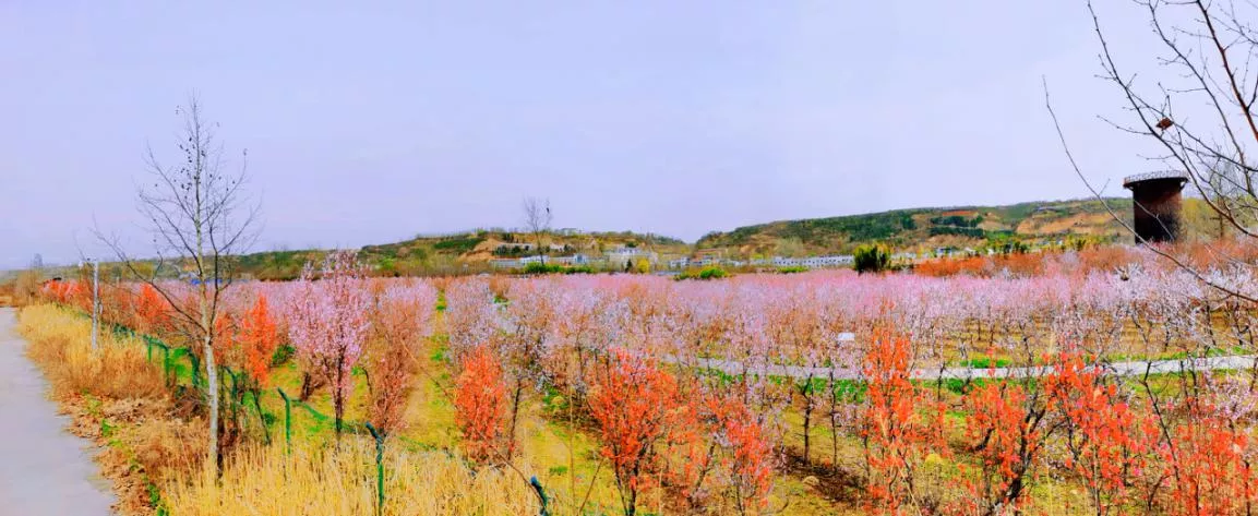 以非凡致敬平凡,新未来为西安师生打造3000亩研学及劳动教育基地