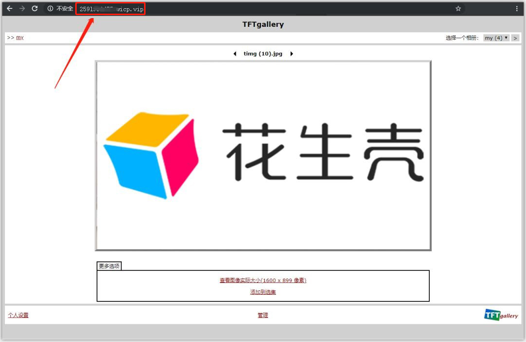 不用公网IP，内置端口映射，花生棒构建个人云相册完成远程控制备份数据