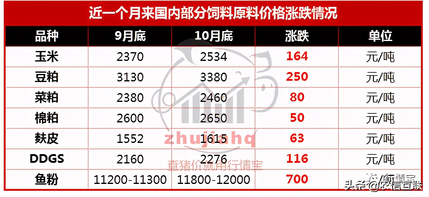 玉米暴涨1000元！11月饲料再涨价！正大、新希望等全部涨价