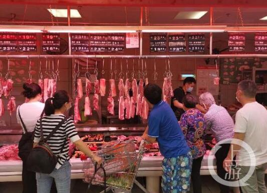 中国生猪交易市场今日热点：暴跌影响仍存！猪