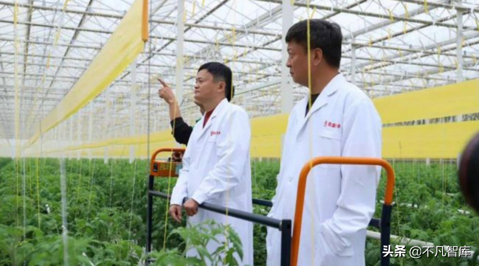 阿里的下一个目标或是“大农业”？沉寂多月后，马云终于现身了