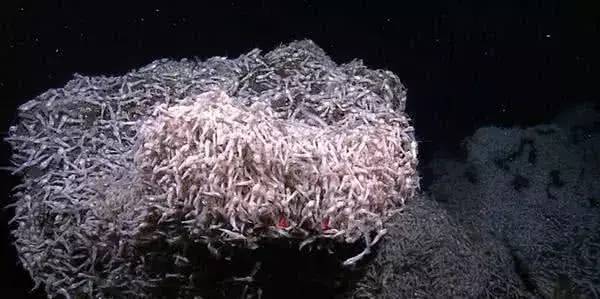 大海到底多深？说出来你都不一定会相信？海底