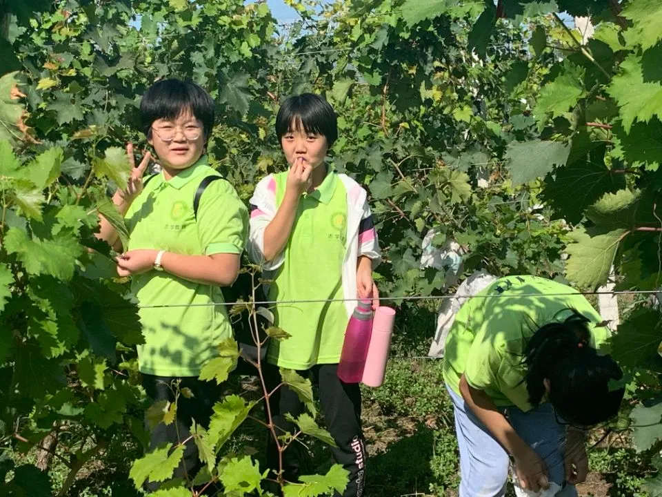 「名校梦·志学行」暑假20天，领先整3年