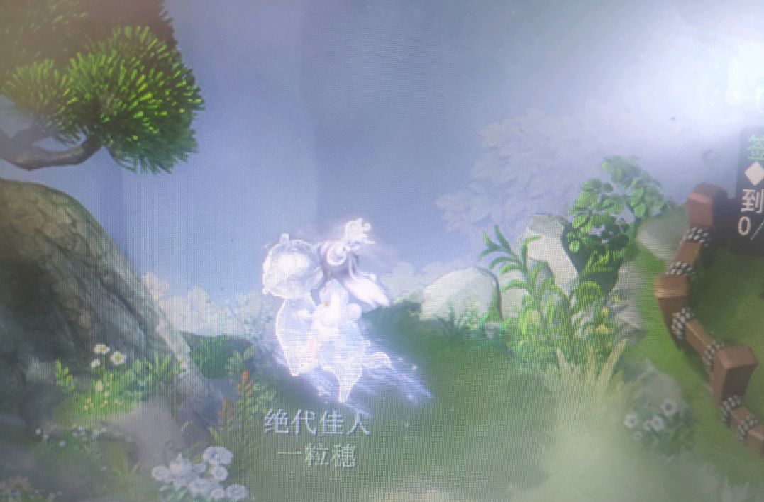 冰晶魅灵配上冰雪玉兔锦衣,价值按照3000计算,那么祥瑞锦衣总价值4500