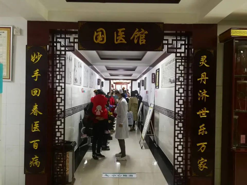 世界传统医药日｜省“中医中药中国行”大型义诊活动走进凤县