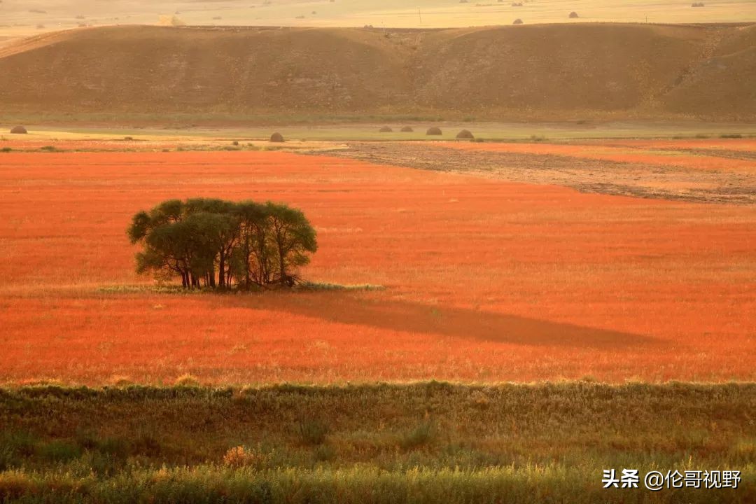This uniquely independent village on the Sino-Russian border hides a lonely beautiful autumn, waiting for you