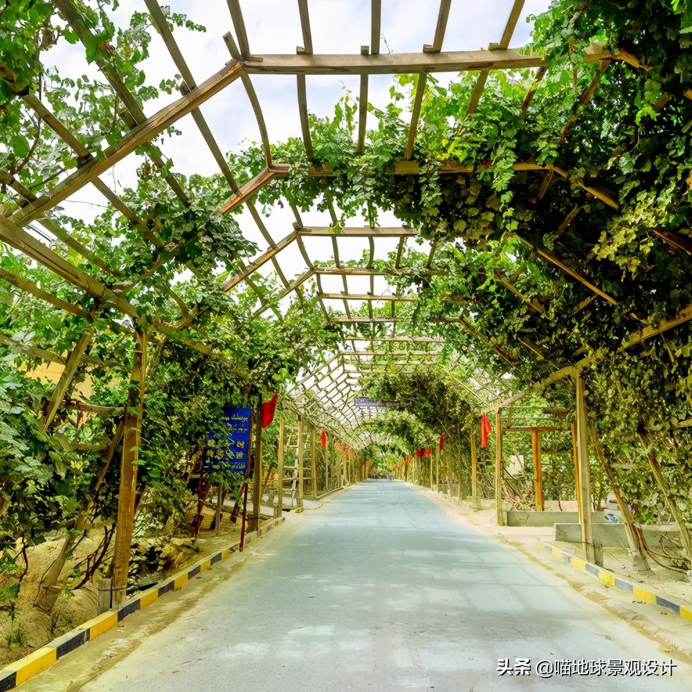 50种低成本打造乡村旅游的创意景观