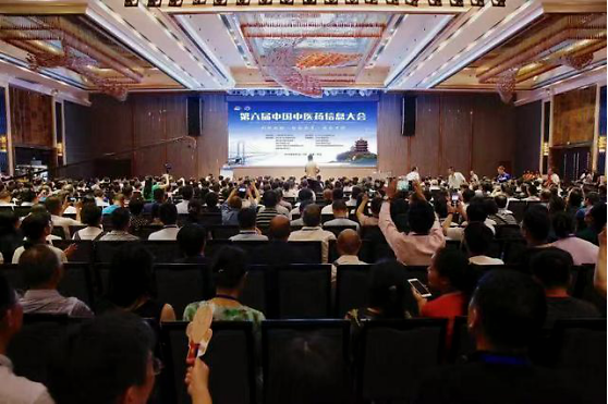 共享学术交流丨王安生医生参加第六届中国中医药信息大会