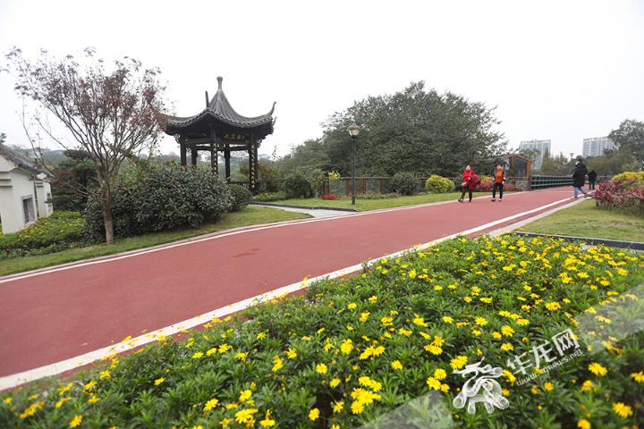 昔日杂草丛生如今美如画卷 看山城坡坎崖如何“挂毯”变身