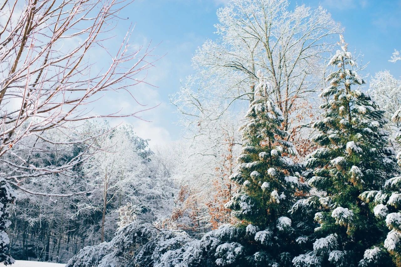 8首咏雪诗词，冬景似春华，莫负好时光