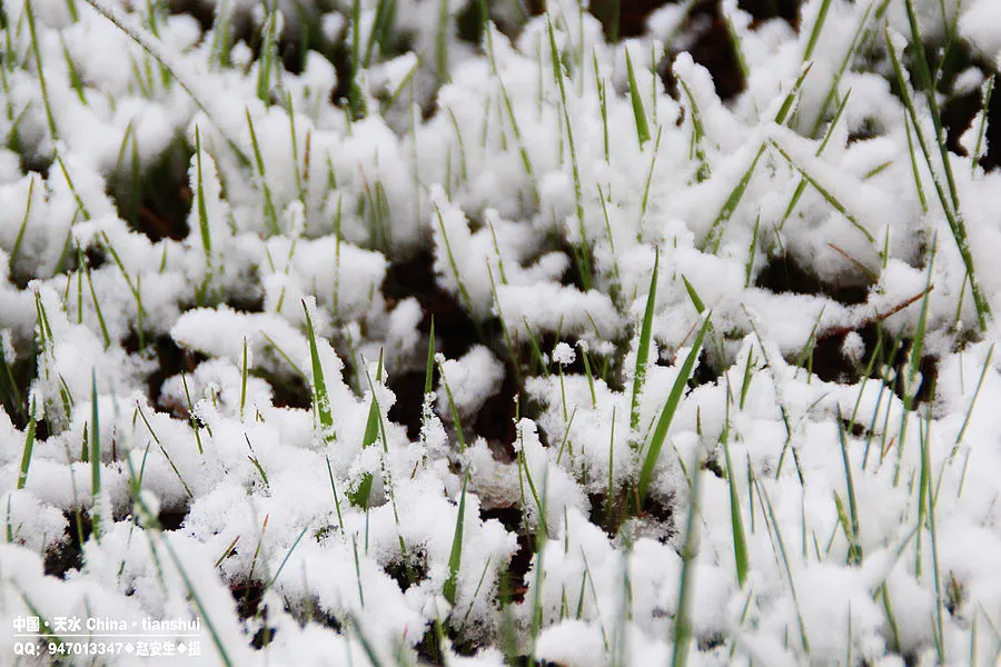 炎炎夏日，送你一组冰雪图片降降温