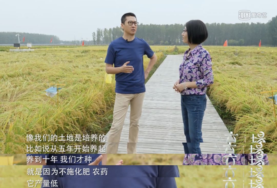 《少年包青天》播出第20年，有人成了农民，有人