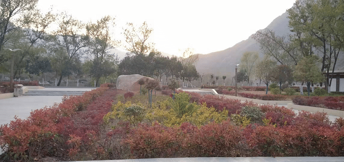 致富带头人|西峡县军马河镇：致富不忘扶贫的致富带头人