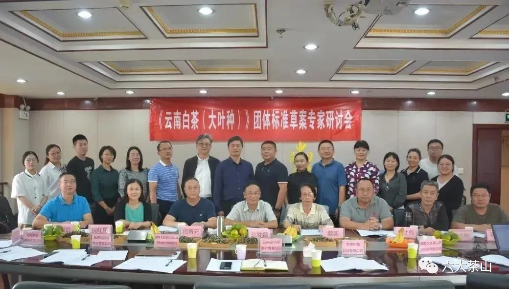 六山积极配合云南省白茶团体标准制定工作,助力云南白茶产业发展