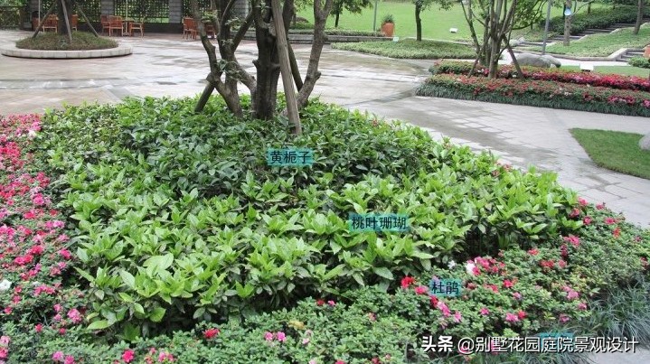 別墅庭院常用植物分享，附照片及名字標(biāo)注（珍藏版）