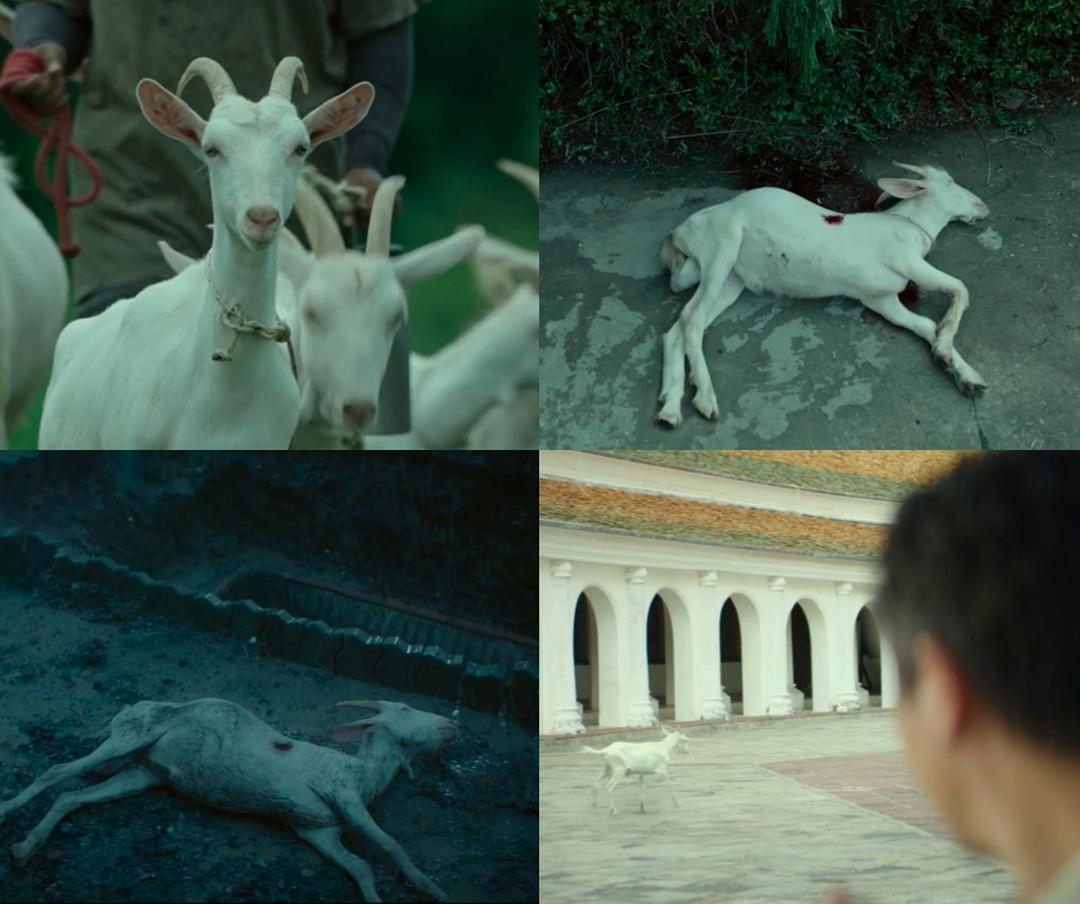 烧脑犯罪片《误杀》，肖央到底是怎样实现完美