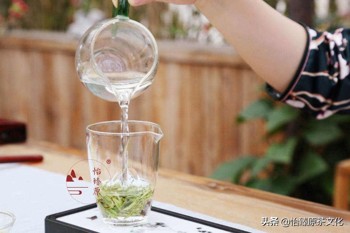 喝茶可養生？ 四季飲茶大不同，喜歡飲茶的你一定要收藏