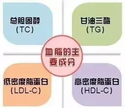 “医生，我血脂不高，低密度3.6”，血脂到底是（包括）什么？