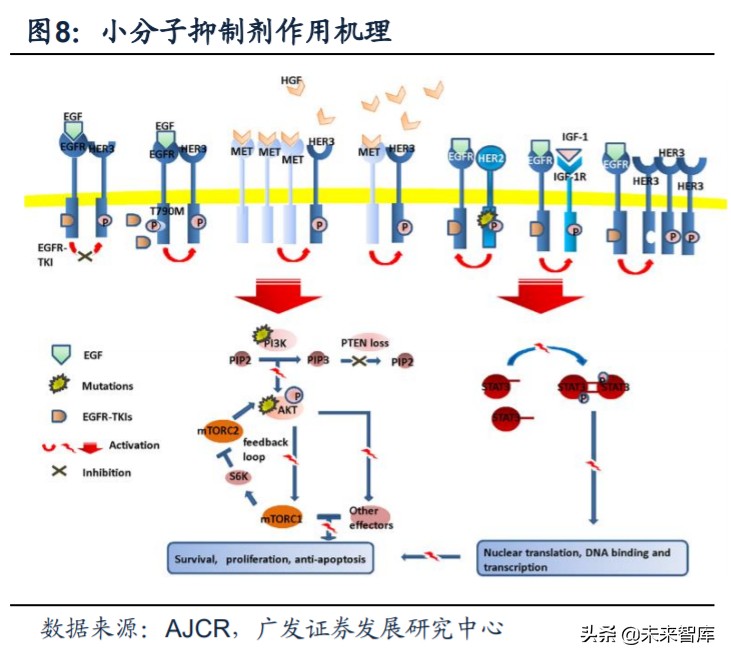 医药行业专题：第三代EGFR-TKI药物，第一大癌症造