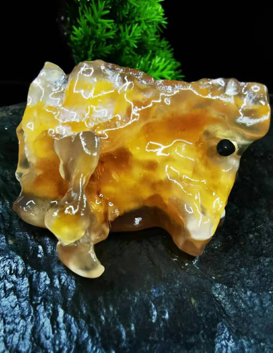 �߽�2020�й����������������С��