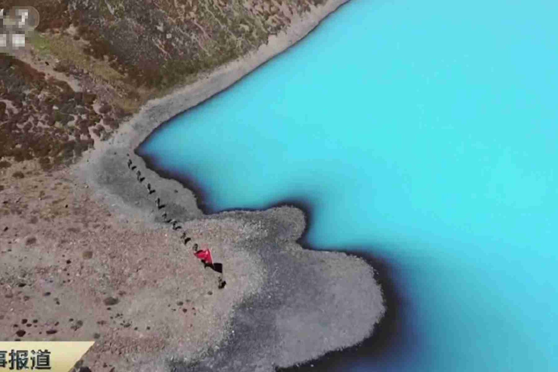 ��ӡ���ͺ����๫���ϬF���܊�������������l����������