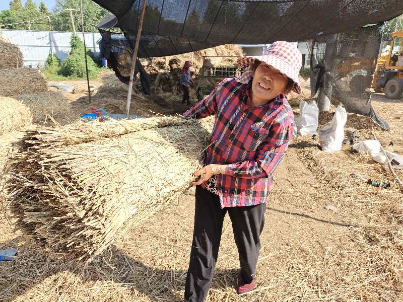 稻草|摄影师用镜头记录稻草帘、草绳制作全过程