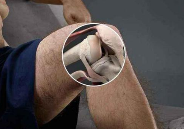 人体早被淘汰掉的器官，如今开始重新出现，是