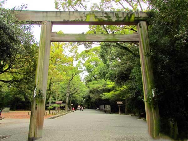 日本琦玉助威北京国安足球队亚冠赛（图）