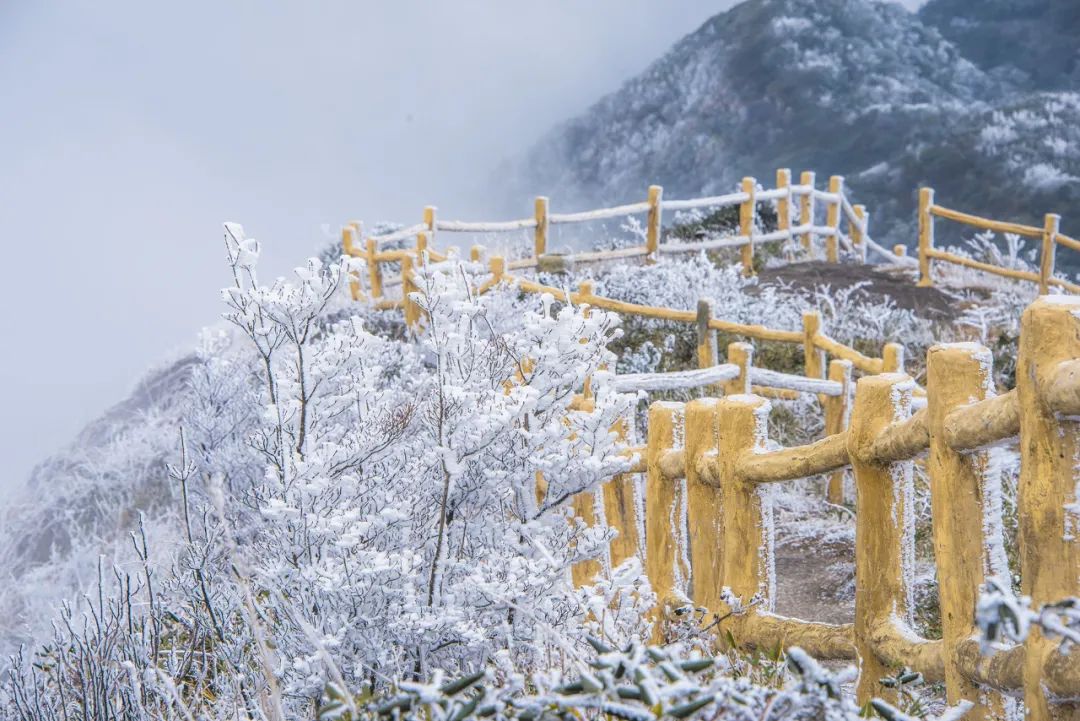 十五首古人对雪的诗词，有数不尽的浪漫！​-第10张图片-诗句网